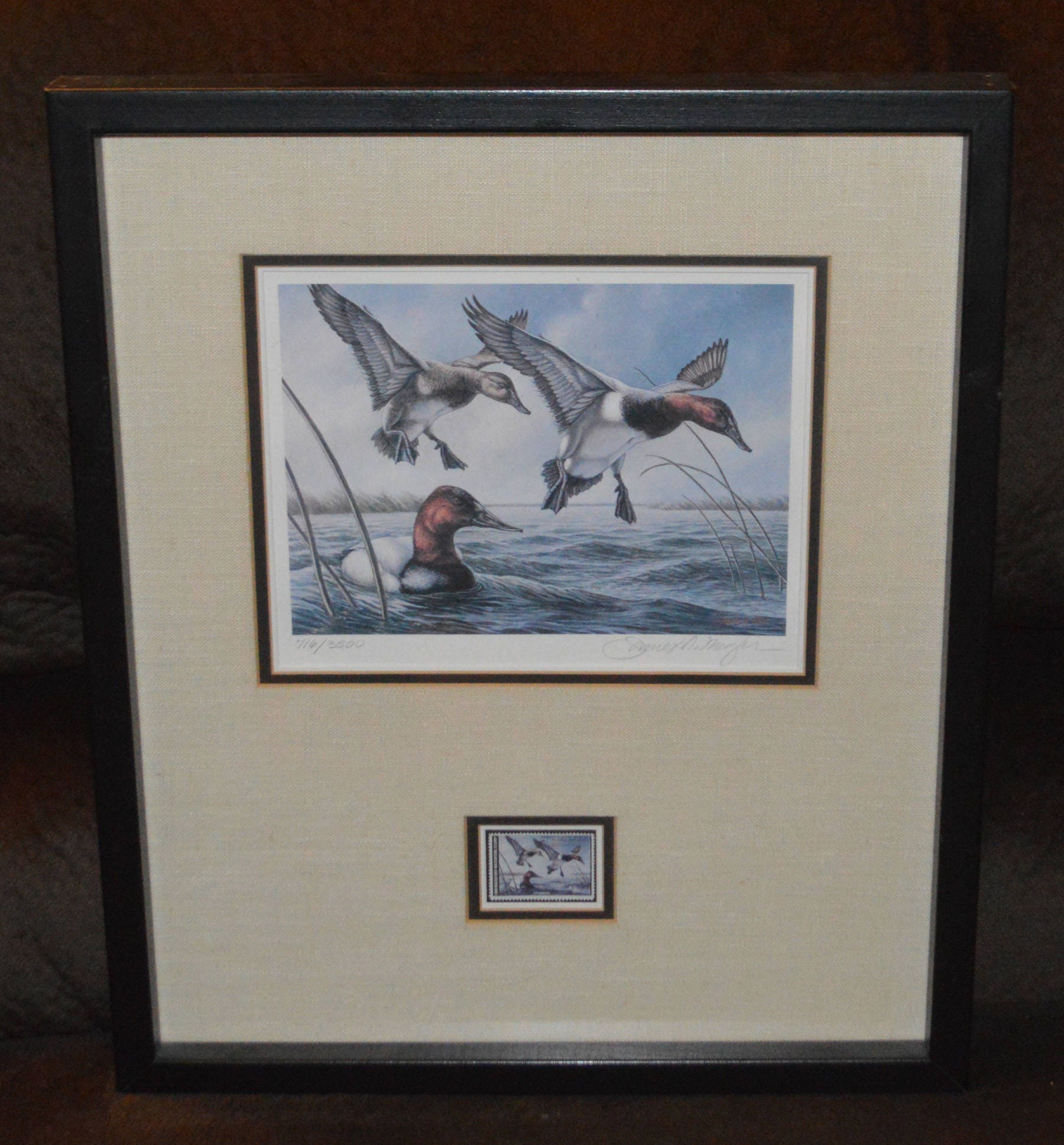 1980 Minnesota Duck Stamp Framed Print Canvasbacks de James A. Etsy