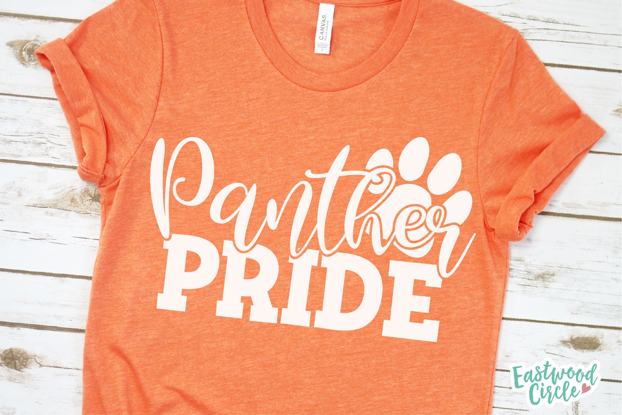 Panther Pride svg, Panthers svg, Panthers svg Files, Panthers School svg, Panthers Team svg, School Sports Team svg, Football, Basketball