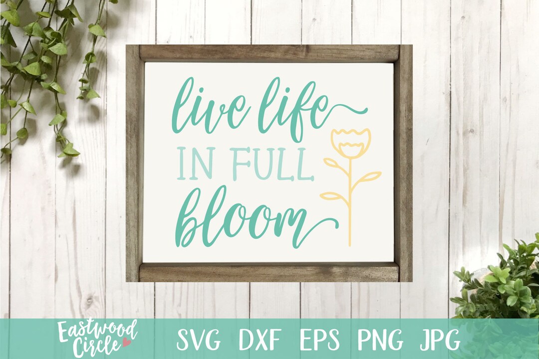 Live Life in Full Bloom Svg, Spring Svg, Spring Sign Svg, Spring Svg ...