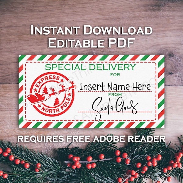 Instant Download Christmas Gift Label - PDF - Personalized - Santa Special Delivery