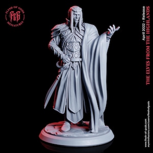 Highborn Elf Villain Mini Miniature Figure Model RPG Fantasy Games Dungeons & Dragons Tabletop Gaming