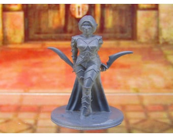 May include: A gray miniature figurine of a female warrior, clad in armor and holding two curved blades. The figure has a cape and is standing on a circular base. The background is a blurred image of a doorway.