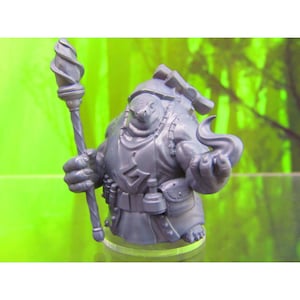 May include: A gray painted miniature figurine of a turtle-like creature wearing a robe and holding a staff with a flame at the end. The figurine is standing on a clear plastic base.
