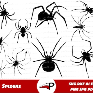 Spiders SVG, Arachnids PNG, Halloween decor, Halloween clipart, Spider laser cut, realistic spiders