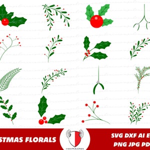 Bundle de cliparts fleurs de Noël, houx de Noël SVG, clipart de gui, png de fleurs de Noël, fichier cricut baies de houx