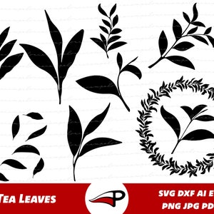 Tea Leaf SVG, Tea Leaves PNG bundle, Green Tea Leaf Clipart, Leaves Silhouette DXF, Tea Branch for Cricut and Glowforge
