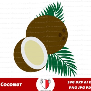 Coco svg, Cocos png, Clipart de coco, Hojas de coco, Coco dxf, Cáscara de coco, Archivos de corte de coco para cricut silueta glowforge
