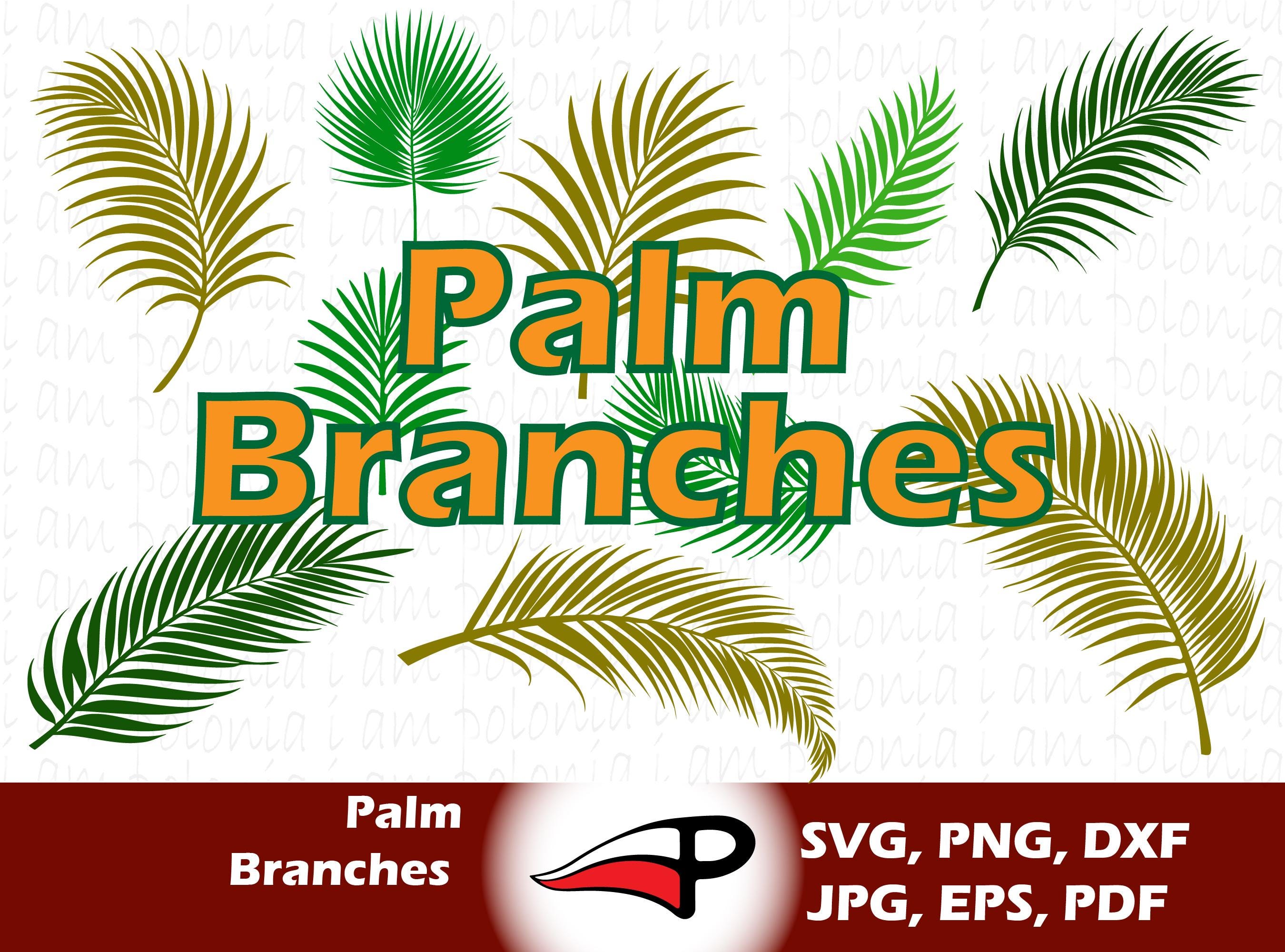 Tropical Palm Branch SVG & Palms PNG Set