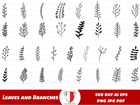 Floral Divider SVG Bundle Botanical Clipart Laurel PNG Pack | Etsy