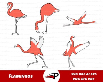May include: A collection of five flamingo illustrations in various poses. The flamingos are primarily coral-colored with white accents, set against a white background. The word "FLAMINGOS" is displayed in red text at the bottom.