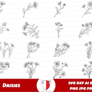 Pacote Daisy SVG, Margaridas png, Bouquet Clipart, Flores decorativas para papelaria, artes, artesanato e convites de casamento. Silhueta Cricut