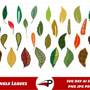 File di taglio delle foglie autunnali - SVG ispirato alla natura per regali fatti a mano, SVG delle foglie autunnali - File digitale del fogliame autunnale