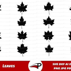 Leaves SVG Bundle | Paper Leaf Templates PNG | Foliage Clipart for Cricut & Glowforge