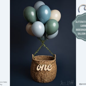 Custom Balloon Bouquet / Set Of 12 Balloons, Floating Balloons, Helium Balloons, Matte Balloons, Boho Balloons, Tuftex, Betallic, Kalisan