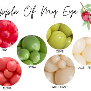 Apple Theme Biodegradable Balloons / Apple Birthday Party, Apple Orchard Theme, Apple Baby Shower, Apple Of Our Eye, Bushel Of Fun Theme