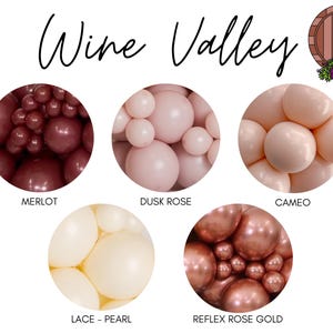 Wine Valley Balloon Color Palette / Wine Bachelorette, Napa Bachelorette Weekend, Bridal Shower, Vino Before Vows, Wine Tasting Party Theme