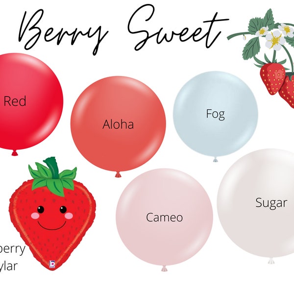 Berry Sweet Biodegradable Balloons / Berry First Birthday, Strawberry Balloon Garland, Sweet One Theme, Red Pink Light Blue, Vintage Berry