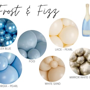 Frost & Fizz Biodegradable Balloons / Champagne On Ice Bachelorette Theme, Apres Ski Bachelorette Decorations, Ski Balloon Garland, Snow