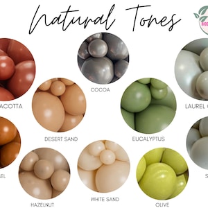 Natural Biodegradable Balloons / Eco Friendly Boho Balloons, Neutral Greens Balloon Arch, Terracotta Rust Sage Green, Eucalyptus Baby Shower