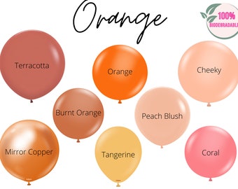 Orange Biodegradable Balloons / Burnt Orange Balloon, Terracotta Balloon Garland, Rust Bridal Shower, Modern Baby Shower, Citrus Party Decor