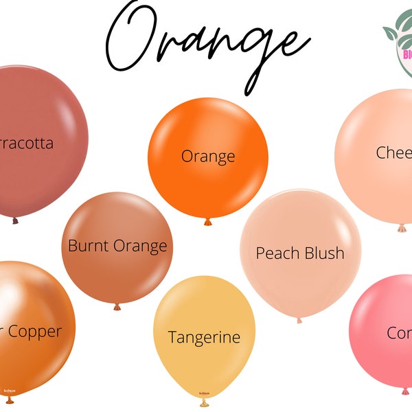 Orange Biodegradable Balloons / Burnt Orange Balloon, Terracotta Balloon Garland, Rust Bridal Shower, Modern Baby Shower, Citrus Party Decor