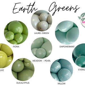 Green Biodegradable Balloons / Dusty Sage Balloon Garland, Eucalyptus Balloon, Boho Baby Shower, Fossil Bridal Shower, Olive Green Balloon
