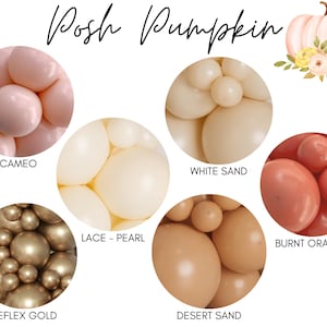 Posh Pumpkin Biodegradable Balloons / A Little Pumpkin Is On The Way Baby Shower, Boho Pumpkin Party Decorations, Fall Balloon Garland,