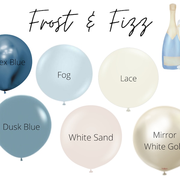 Frost & Fizz Biodegradable Balloons / Champagne On Ice Bachelorette Theme, Winter Bachelorette Party Decorations, Winter Balloon Garland Kit