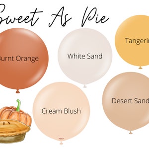 Sweet As Pie Biodegradable Balloons / Fall Birthday, Autumn Party Decor, Thanksgiving Balloon Arch, Fall Baby Shower, Boho Fall Balloons