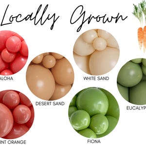 Locally Grown Biodegradable Balloons / Farmer's Market Birthday, Gender Neutral Baby Shower, Boho Farm Stand Party, Fresh Off The Market