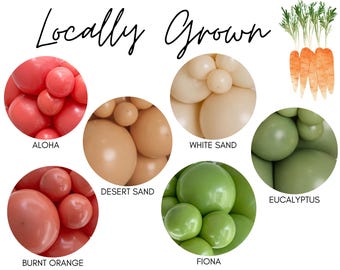Locally Grown Biodegradable Balloons / Farmer's Market Birthday, Gender Neutral Baby Shower, Boho Farm Stand Party, Fresh Off The Market