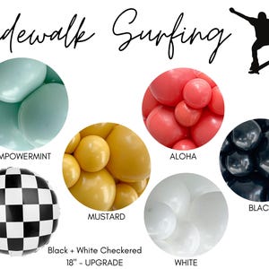 Sidewalk Surfing Biodegradable Balloons / Skateboard Birthday, Skate Park Party, One Cool Dude Theme, Retro Balloon Arch, Retro Boy Birthday