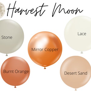 Harvest Moon Biodegradable Balloons / Little Pumpkin Baby Shower, Boho Pumpkin Balloon Arch, Spiced Pumpkin, Fall Harvest Balloon Garland