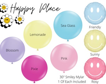 Happy Place Biodegradable Balloons / Smiley Birthday Party, Modern Birthday Theme, Smile Face Balloons, One Happy Girl 1st, Groovy Party