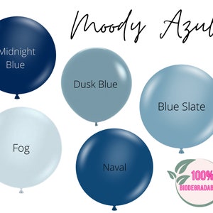 Blue Biodegradable Balloons / Dusty Blue Balloon Arch, Boy Baby Shower, Bridal Shower, Blue Wedding Decor, 1st Birthday Boy, Balloon Garland