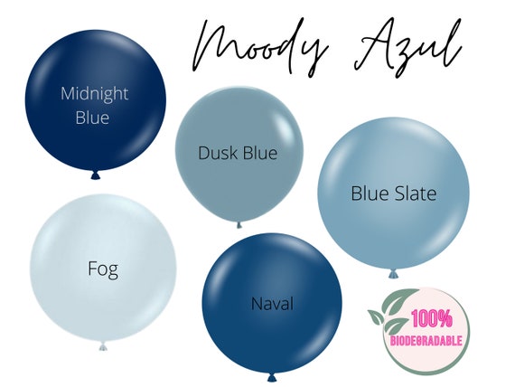 Blue cheap ballon arch