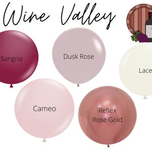 Wine Valley Balloon Color Palette / DIY Balloon Garland Kit, Winery Bachelorette, Bachelorette Weekend, Bridal Shower, Moody Balloon Garland