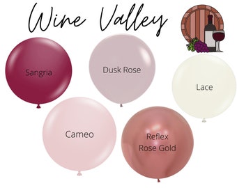 Wine Valley Balloon Color Palette / DIY Balloon Garland Kit, Winery Bachelorette, Bachelorette Weekend, Bridal Shower, Moody Balloon Garland