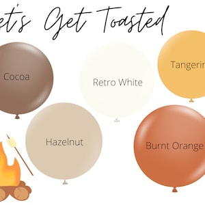 Let&#39;s Get Toasted / Backyard Bonfire, Fall Party Decorations, Camping Birthday, Toast & Roast, Fall Balloons, Autumn Harvest Party Decor