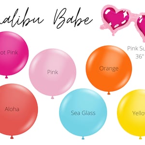 Malibu Babe Biodegradable Balloons / Beach Bachelorette, Malibu Bachelorette, Beach Birthday, Pool Party Decor, Palm Springs Bach, Pink Doll