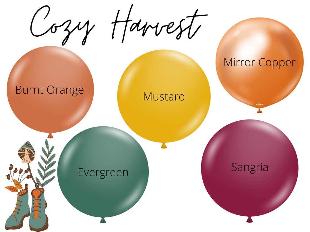Cozy Harvest Biodegradable Balloons / Fall Party Decorations Etsy