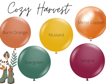 Cozy Harvest Biodegradable Balloons / Fall Party Decorations, Boho Fall Shower, Fall Balloons, Thanksgiving Balloon Garland, Rust Terracotta