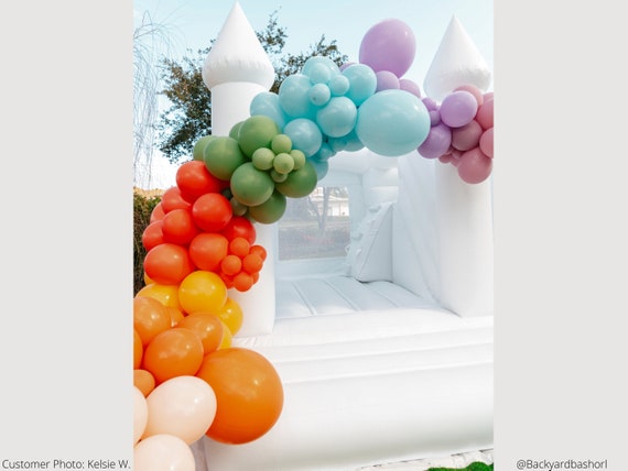 Confetti Menagerie Balloon Arch Kit | Calling All Party Animals Birthday, Safari Party Animals Theme, Colorful 1st Birthday, Zoo Birthday