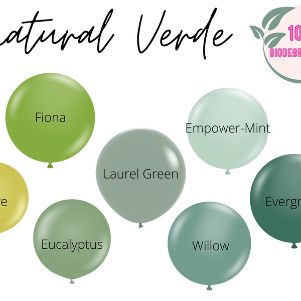 Green Biodegradable Balloons / Dusty Sage Green Balloon Arch, Eucalyptus Balloon, Fossil Green Wedding, Boho Baby Shower, Mossy Green Bridal