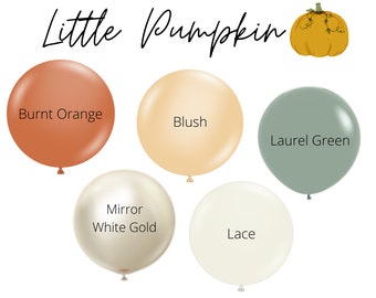 Little Pumpkin Biodegradable Balloons / Fall Autumn First Birthday, Pumpkin Baby Shower, Pumpkin Balloons, Little Pumpkin Party Decorations