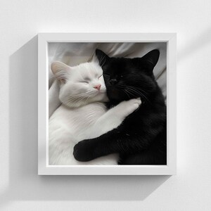 Puede incluir: Un gato blanco y negro acurrucado con un gato blanco. Los gatos están durmiendo en una cama blanca.