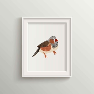 Elegant Illustrated Zebra Finch Bird Fine Art Print - A Captivating Addition to Any Space - Nursery Decor, Wall Art for Bird Lovers