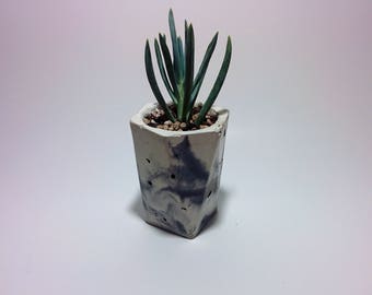 Plantadora de Hormigón o Copa