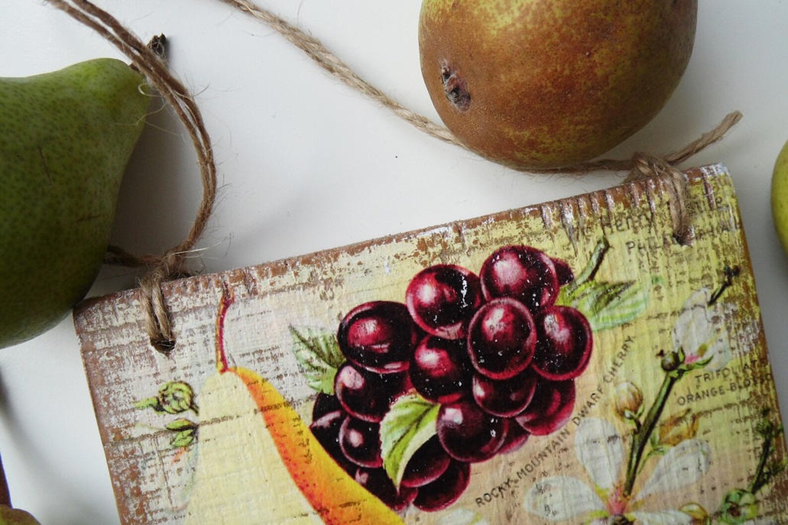 Kitchen Wall Decor Fruit Wall Decor Kitchen Decor Etsy