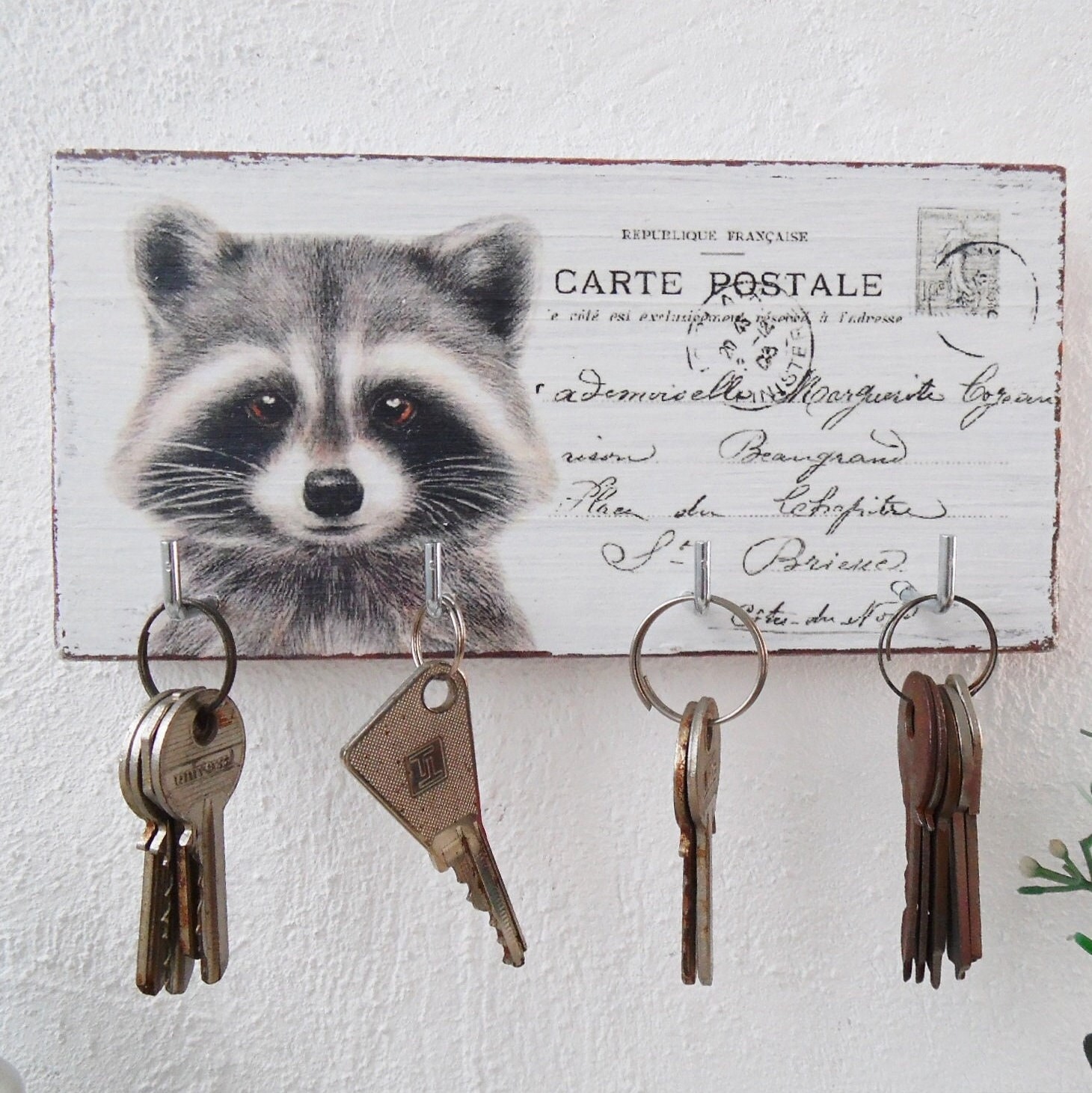 Raccoon Key Holder: Rustic Wood Wall Decor, Vintage French Postcard - Etsy